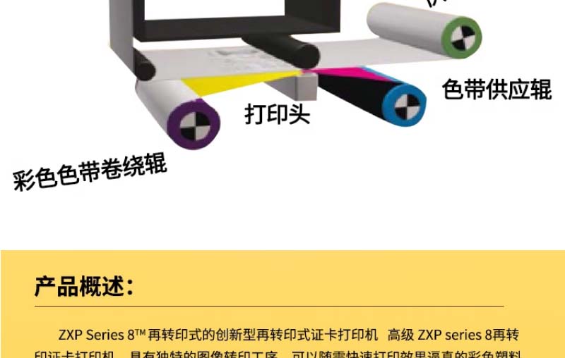 ZXPseries8_07.jpg